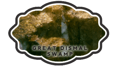 The Mysteries of the Great Dismal Swamp