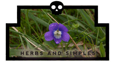 Herbs and Simples