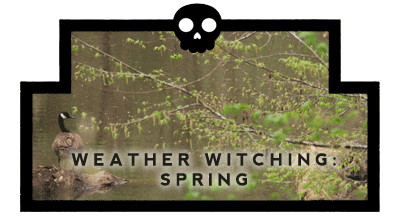 Weather Witching